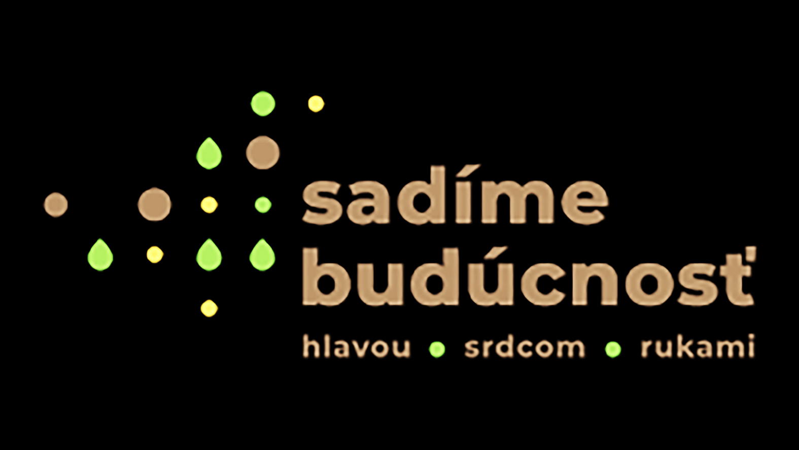 Program Sadíme budúcnosť finančne podporí 11 komunitných projektov