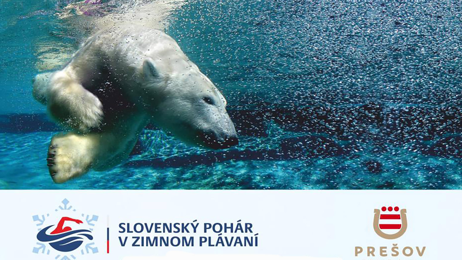 Otužilci v Prešove zabojujú o Slovenský pohár v zimnom plávaní