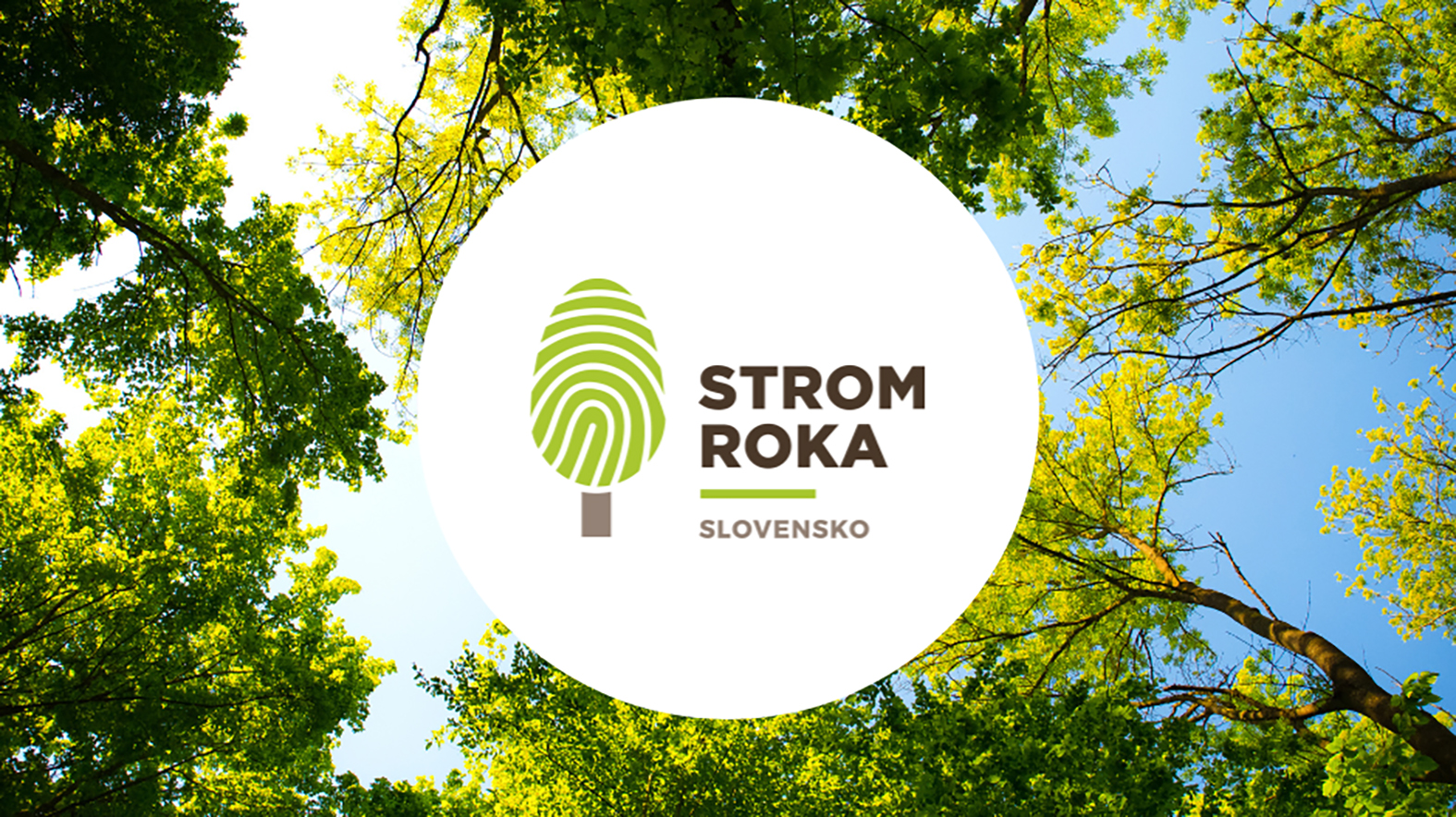Štartuje ďalší ročník ankety Strom roka, posielanie nominácii je spustené