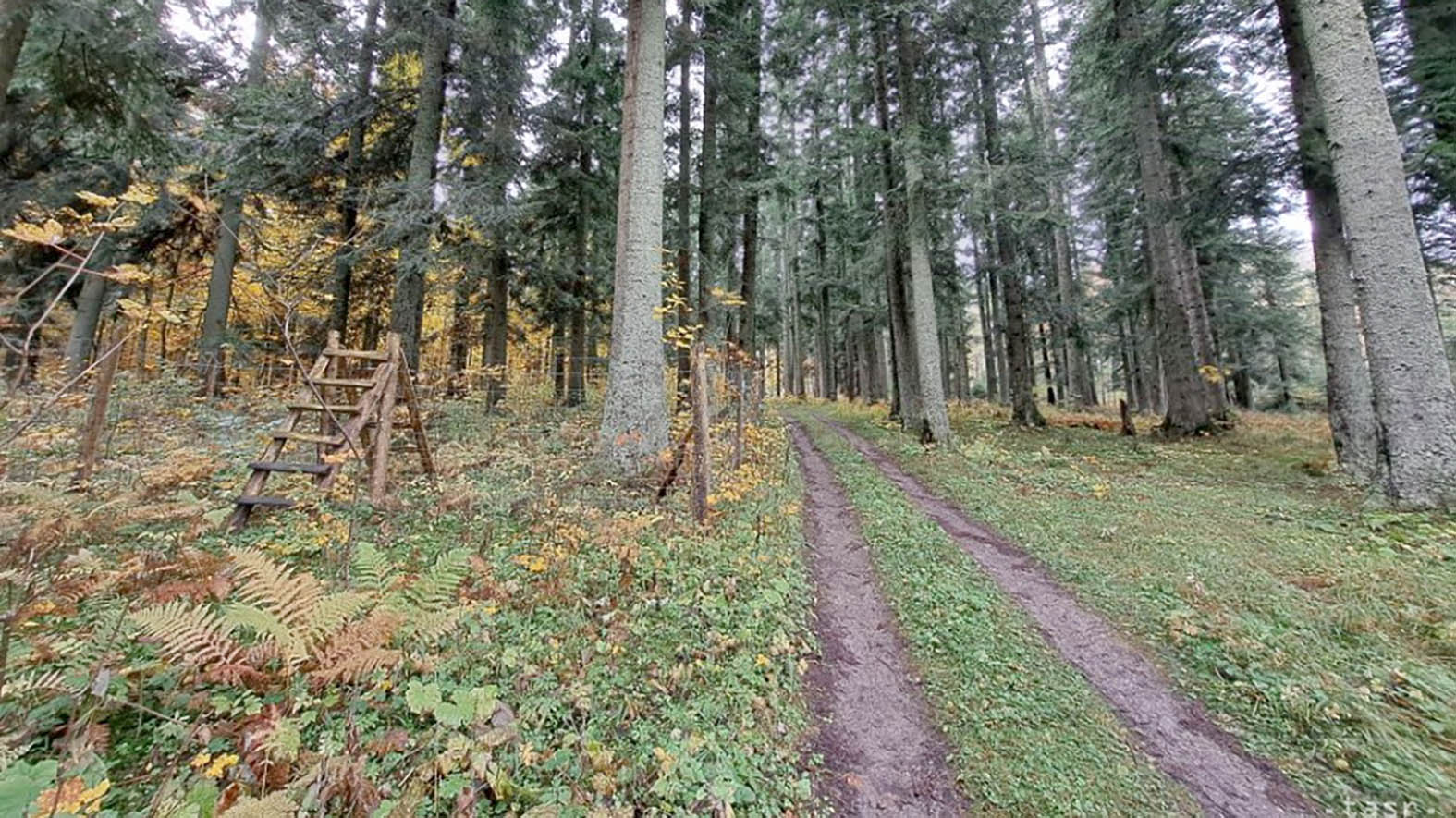 Skalica získala dotácie na obnovu lesoparku i výstavbu úsekov cyklotrás
