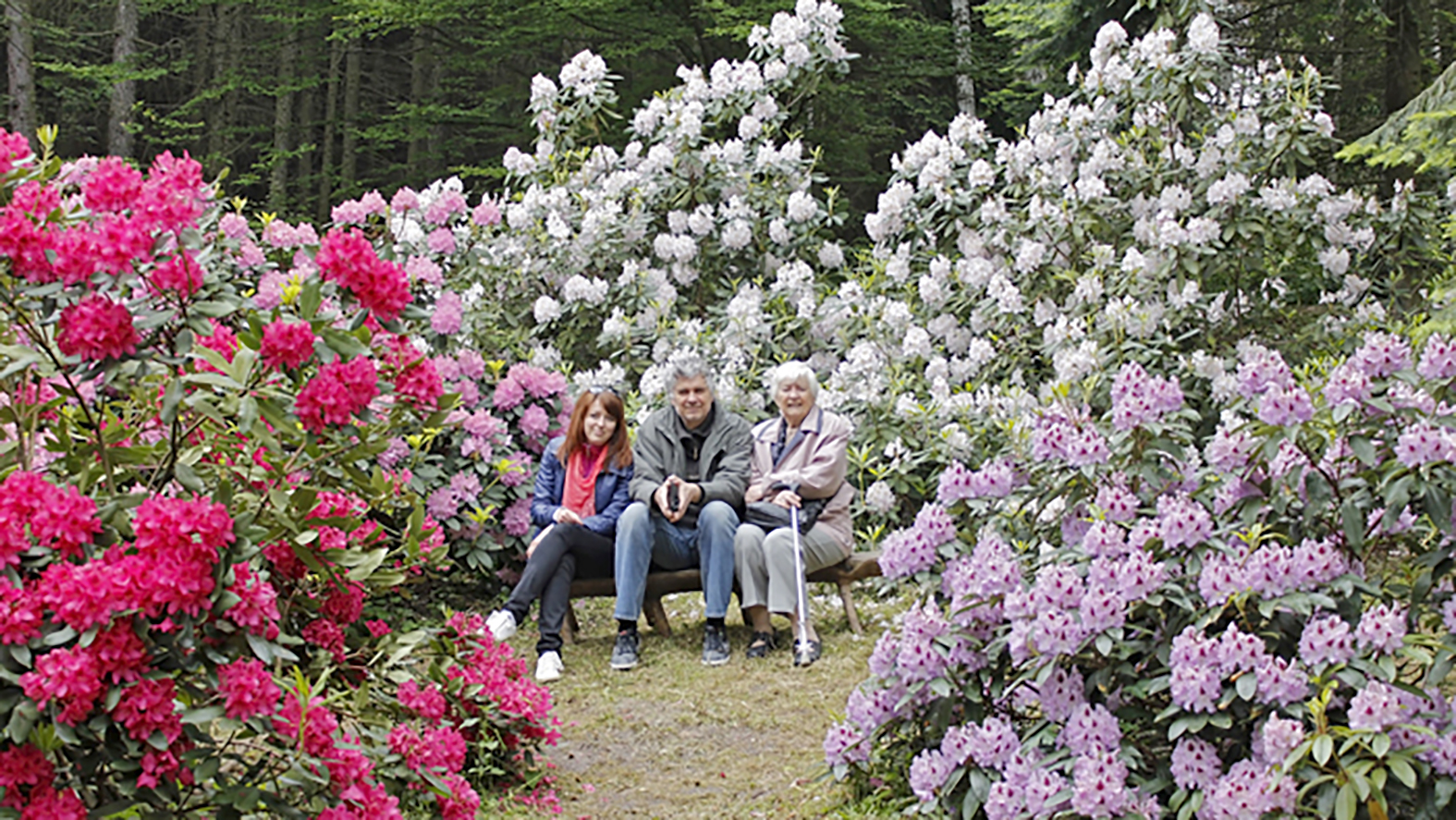 V arboréte Borová hora sa uskutočnia Dni rododendronov