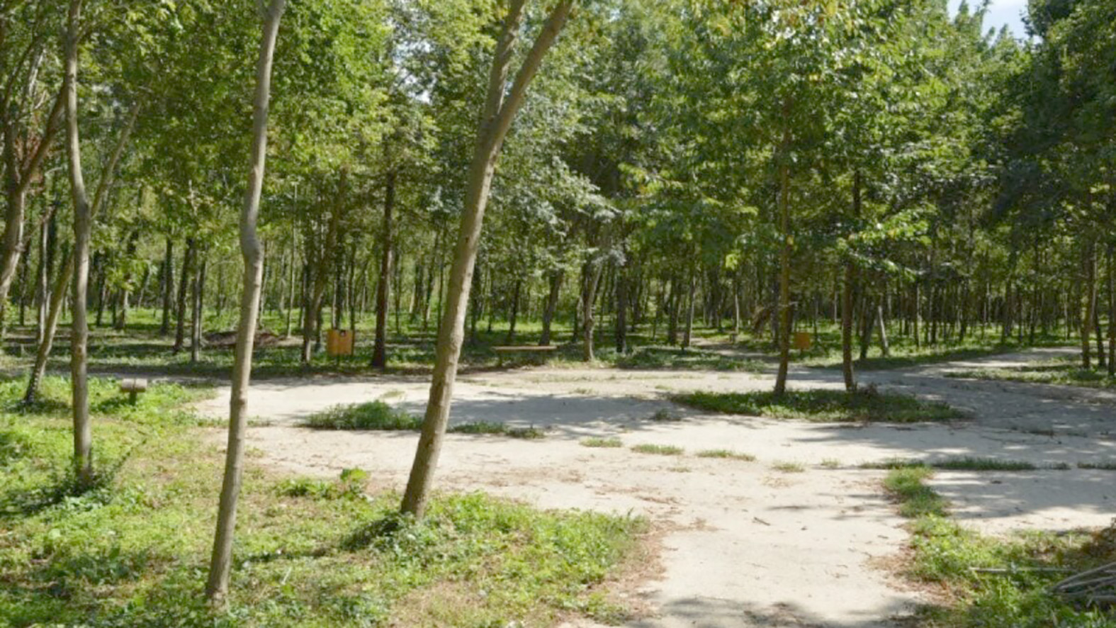 Mesto Šaľa sprístupnilo revitalizovaný prímestský lesopark pri Váhu