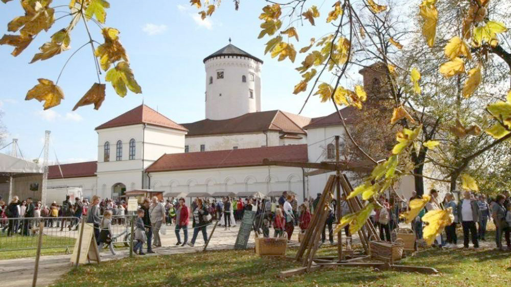 V Budatínskom parku pripravujú na víkend pestrý program
