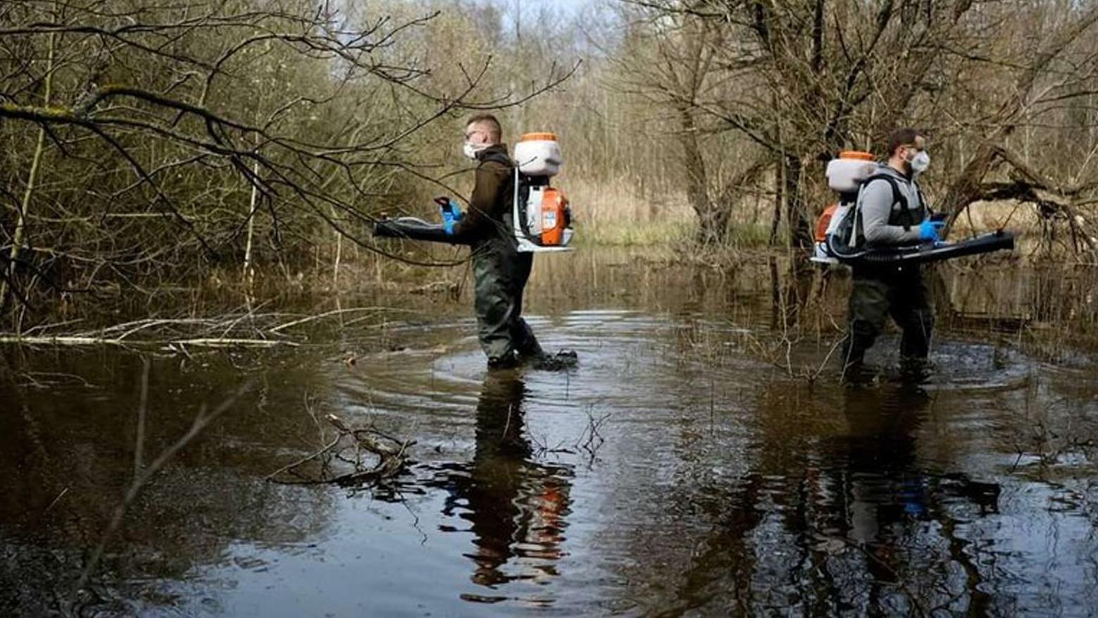 Mesto zasahuje proti liahniskám komárov v zaplavených územiach
