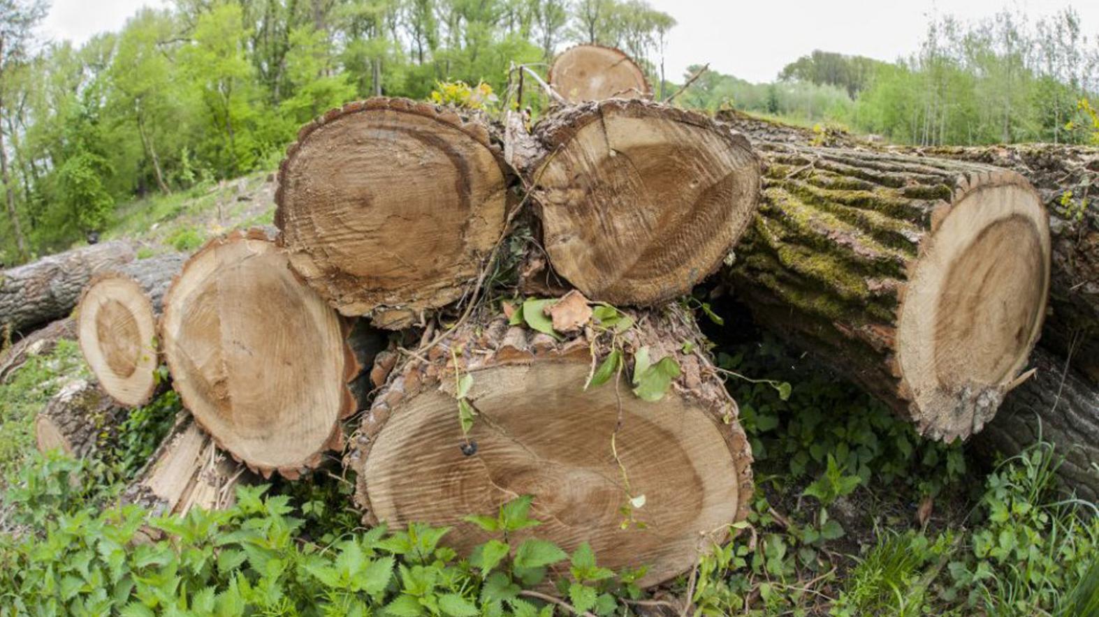 ZMOS žiada o neprijatie novely zákona o ochrane prírody a krajiny