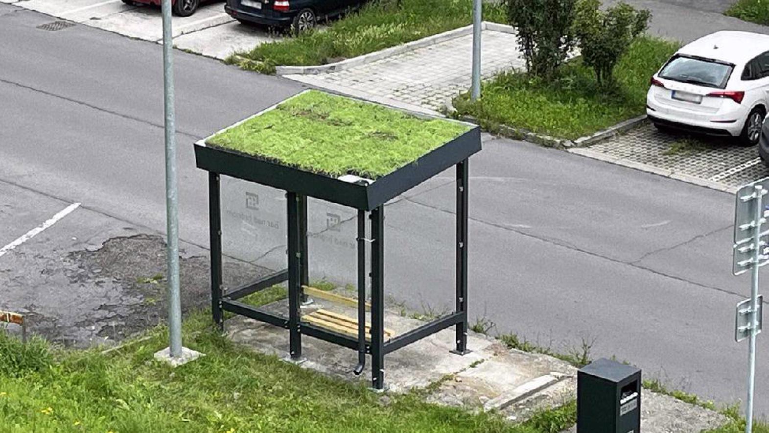 Na prístreškoch MHD v Žiari nad Hronom: pribúdajú živé zelené strechy
