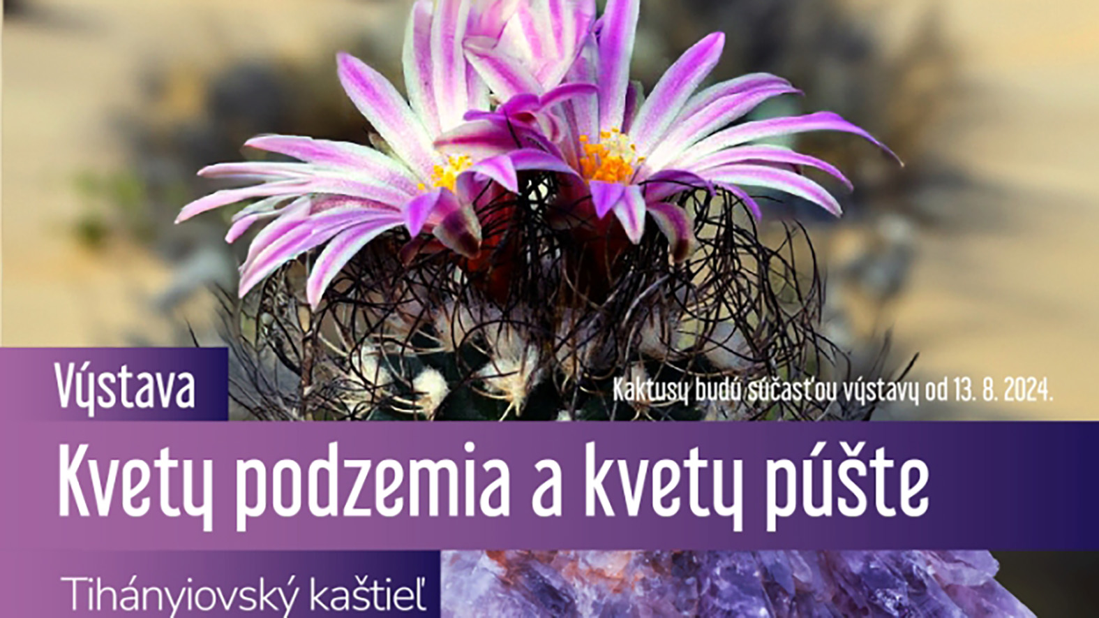 V Tihányiovskom kaštieli otvoria výstavu Kvety podzemia a kvety púšte