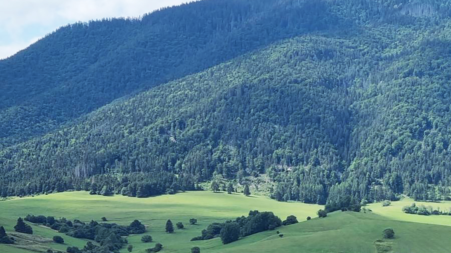 Program starostlivosti o NP Muránska planina a jeho ochranné pásmo je v MPK