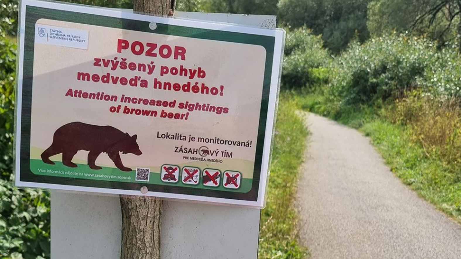 Obce v okrese L. Mikuláš budú predkladať týždenné hlásenie o výskyte medveďa
