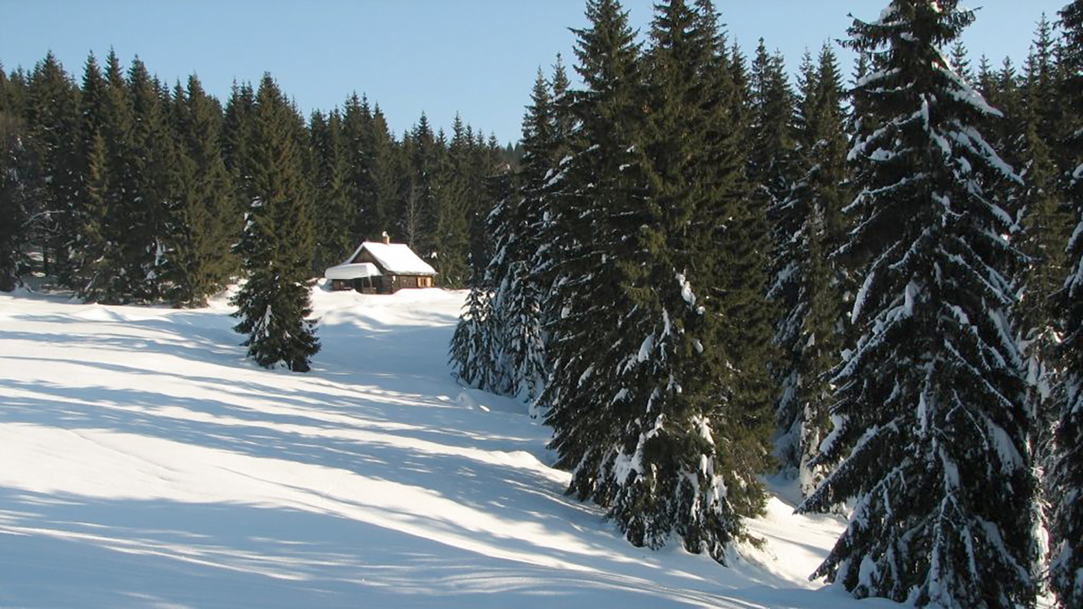 Na Muránskej planine budú upravovať vybrané bežkárske trate