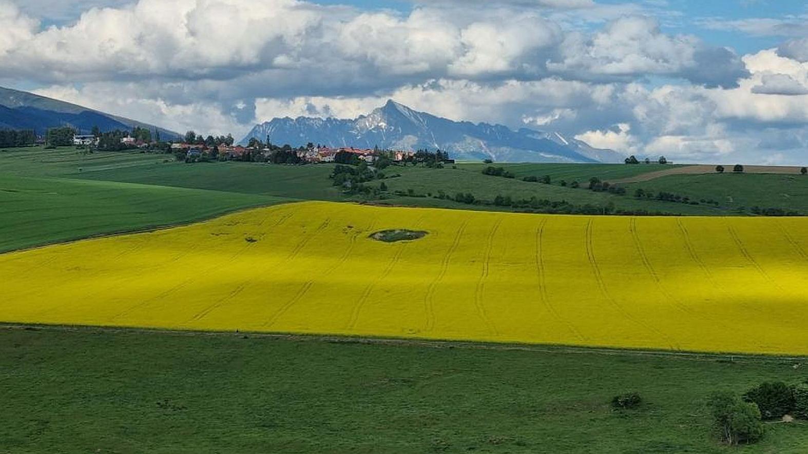 Informačný seminár k výzve BIO02: posilnenie biodiverzity v chránených územiach