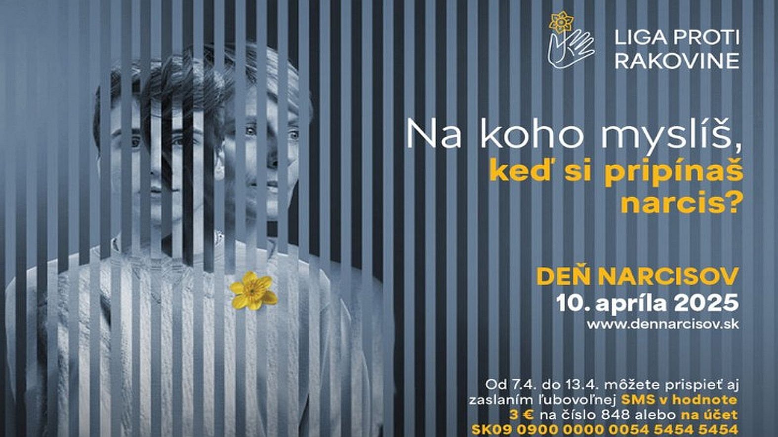 Prispieť do zbierky Deň narcisov sa dá už od pondelka