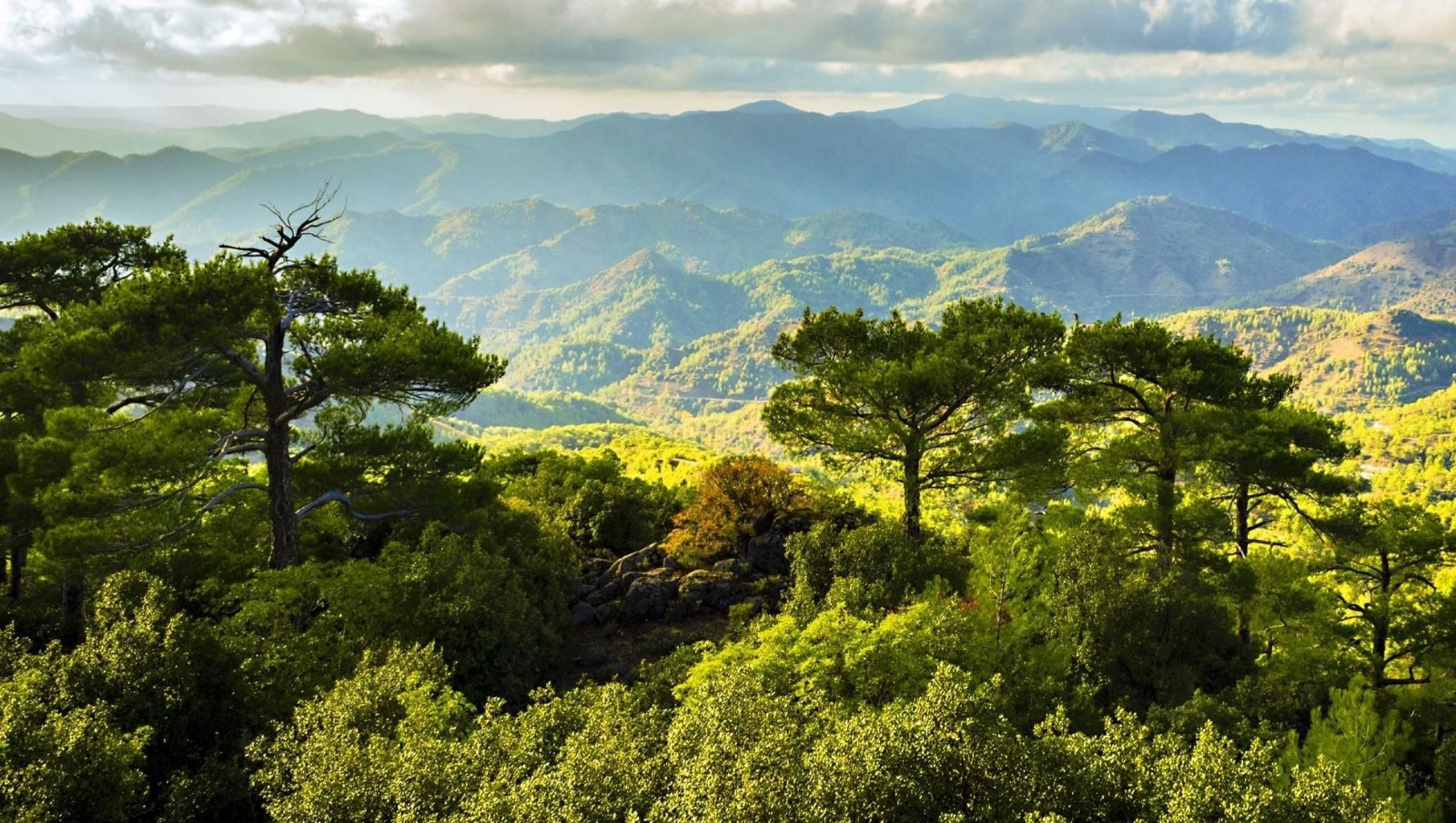 Ilustračná snímka: Pohorie Troodos, Cyprus.