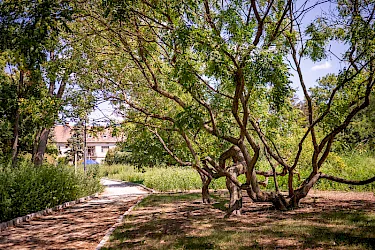 Historický park v Malinove sa verejnosti otvorí v októbri, jeho revitalizácia finišuje
